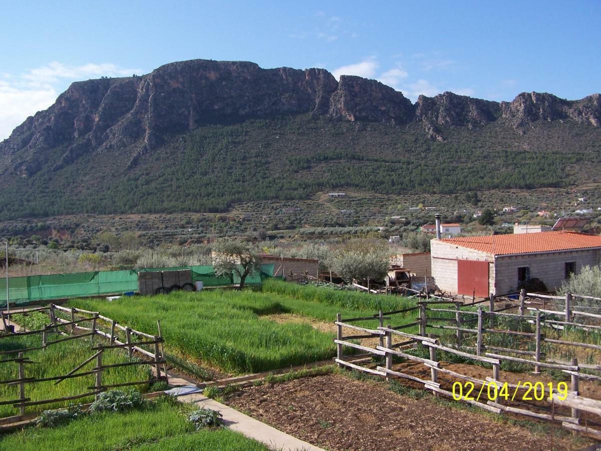 Casa Rural Altozano Elche De La Sierra Villa Exterior photo